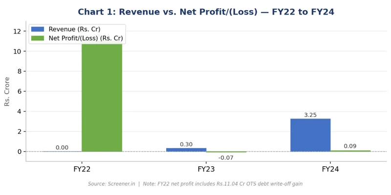 Revenue vs. Net Profit/(Loss) — FY22 to FY24